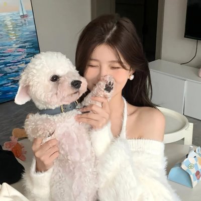 龙的心
